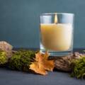 Acupuncture for the Seasonal Transition: Summer to Fall